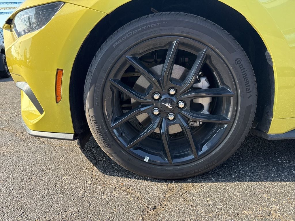 2025 Ford Mustang EcoBoost