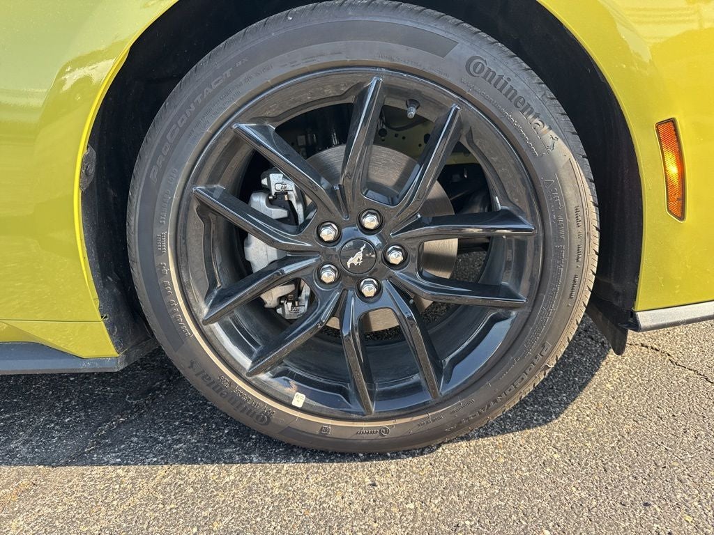 2025 Ford Mustang EcoBoost